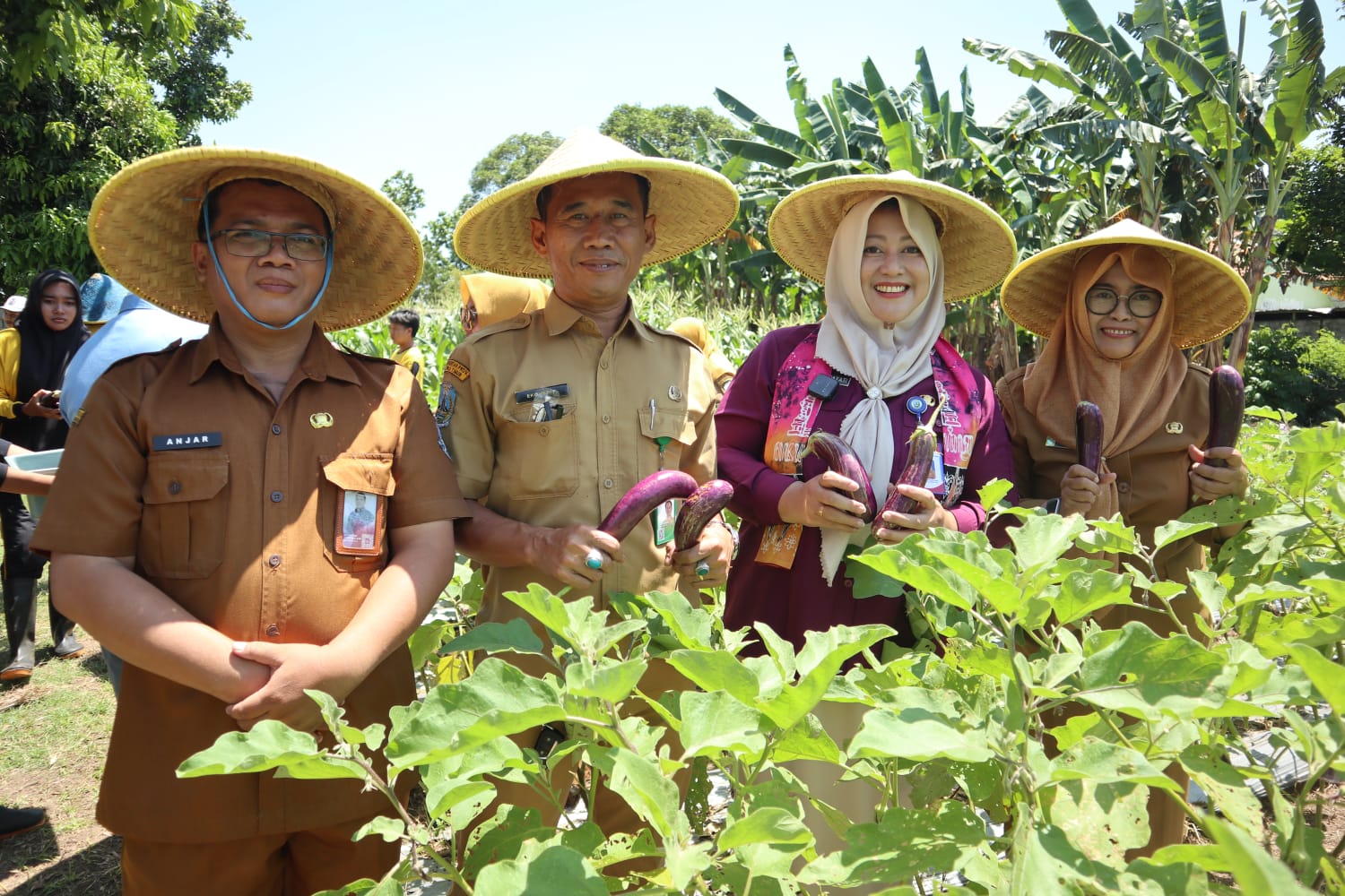 Panen Raya Program SIKAP SMKN 1 Trowulan, Wujud Nyata Ketahanan Pangan Sekolah